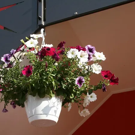 Dolce Casa مارغيرا