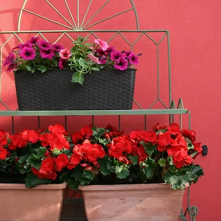 Apartment Dolce Casa