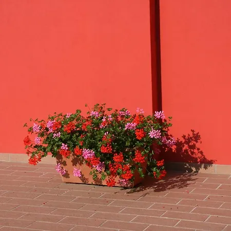 Dolce Casa